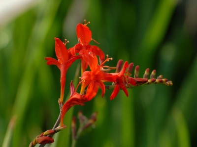 Bild-8