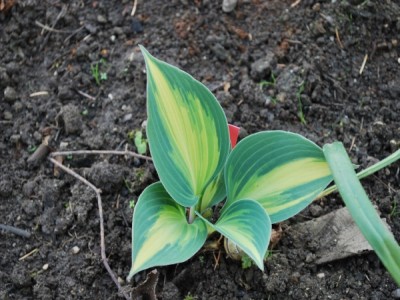 Bild-9